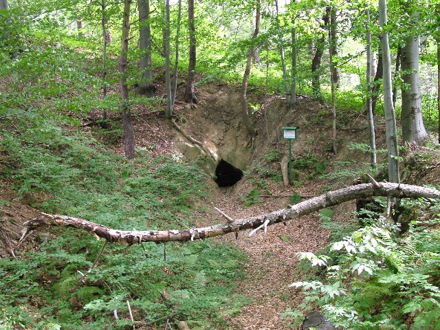 Pomnik przyrody - jaskinie